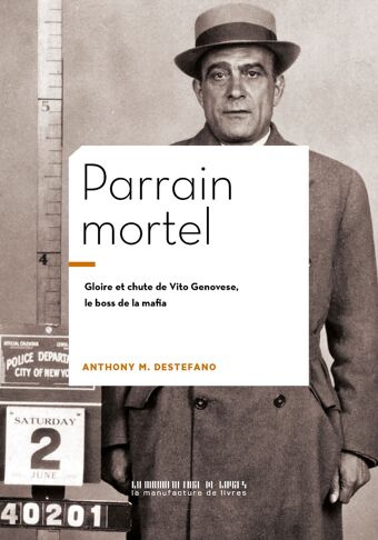 Anthony M. DeStefano, Parrain mortel