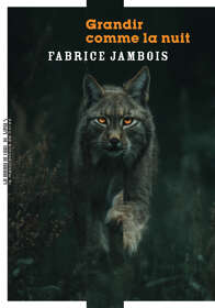 Fabrice Jambois, Grandir comme la nuit