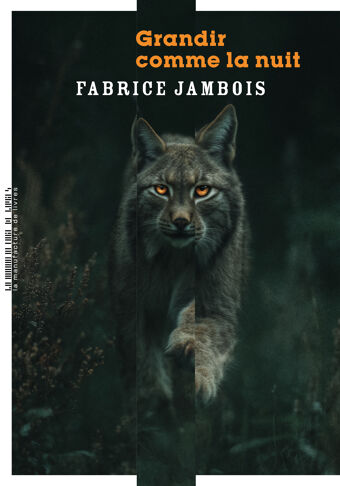 Fabrice Jambois, Grandir comme la nuit