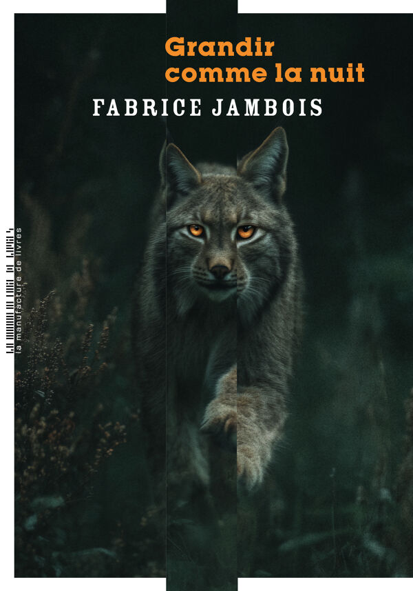 Fabrice Jambois, Grandir comme la nuit