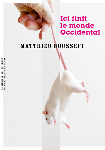 Matthieu Gousseff, Ici finit le monde occidental