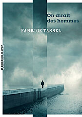 Fabrice Tassel, On dirait des hommes