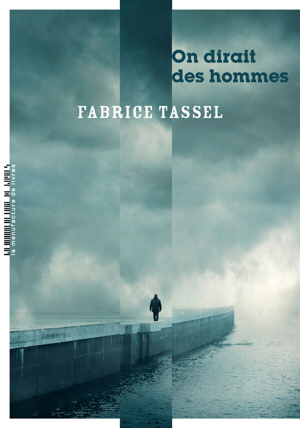 Fabrice Tassel, On dirait des hommes