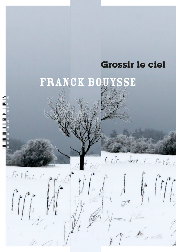 Franck Bouysse, Grossir le ciel