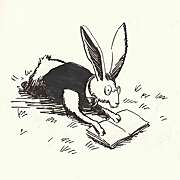 Tiphaine Le Gall à la librairie L’Abri du temps